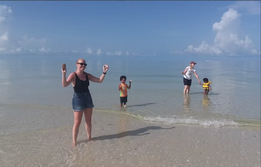Marco Island dolphin and shelling boat tour - Image 2